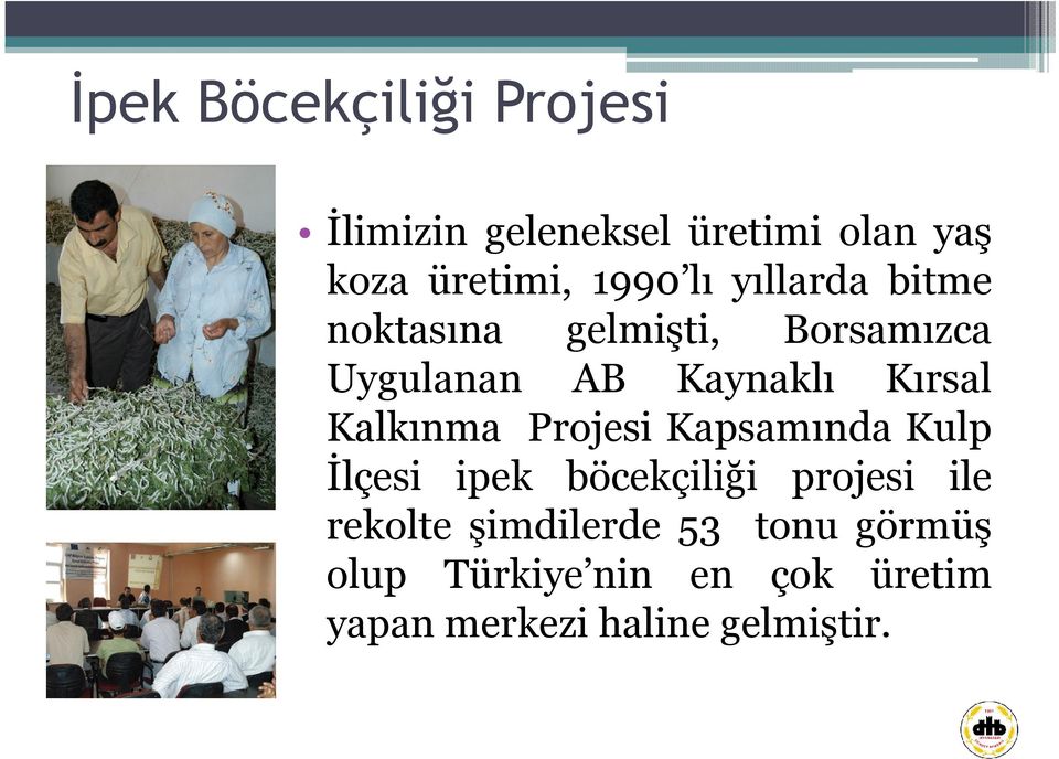 Kalkınma Projesi Kapsamında Kulp İlçesi ipek böcekçiliği projesi ile rekolte