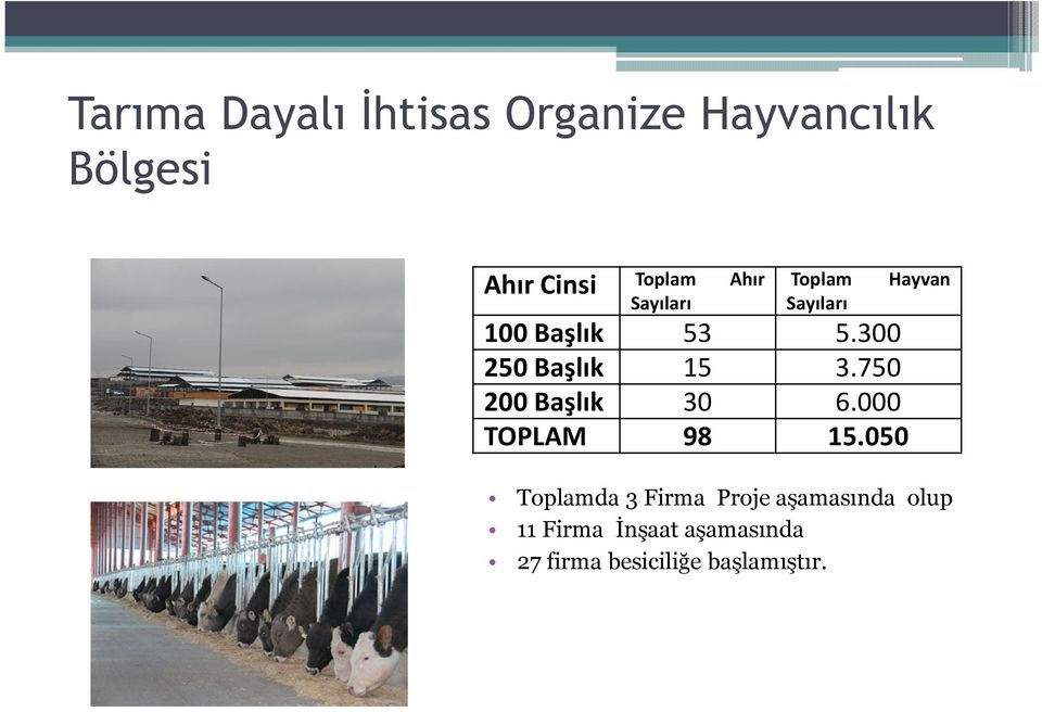 750 200 Başlık 30 6.000 TOPLAM 98 15.