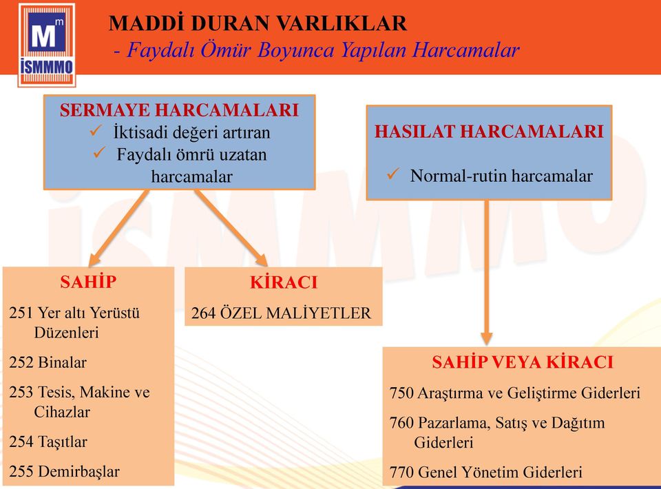 253 Tesis, Makine ve Cihazlar 254 Taşıtlar 255 Demirbaşlar KİRACI 264 ÖZEL MALİYETLER SAHİP VEYA KİRACI