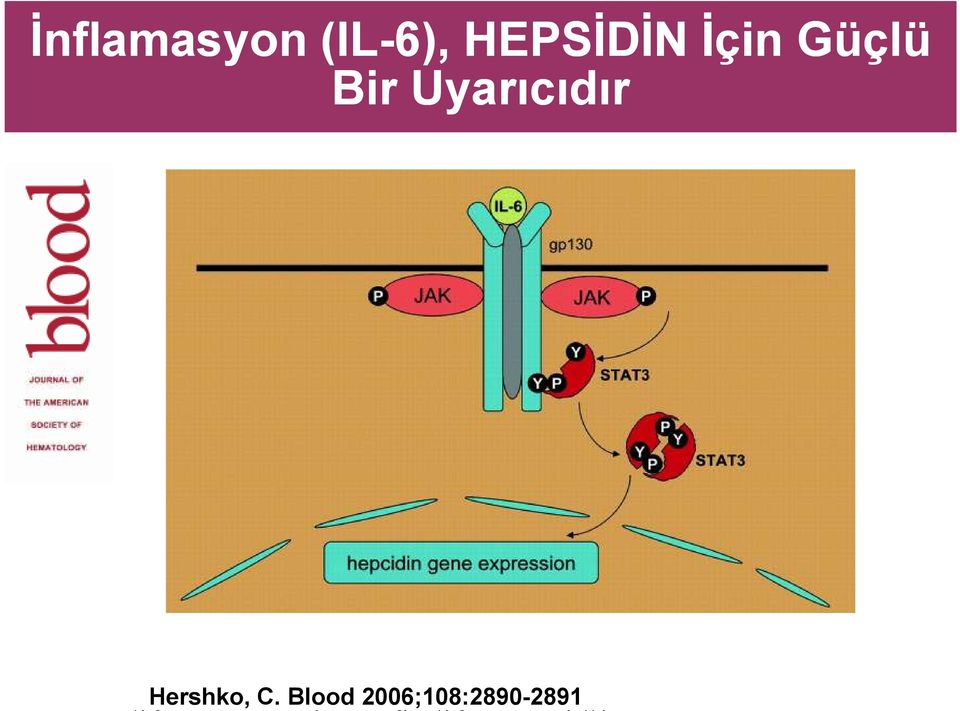 American C. Society Blood of Hematology.