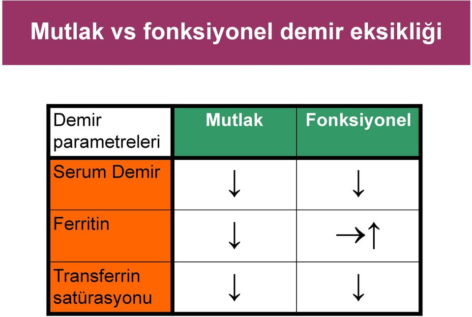 Serum Demir Ferritin Mutlak