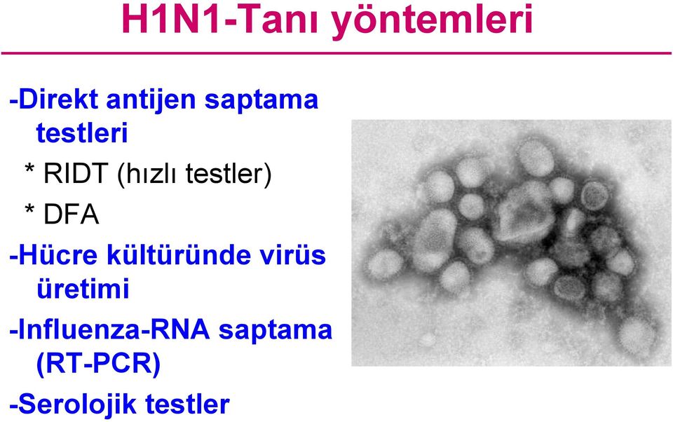 DFA -Hücre kültüründe virüs üretimi