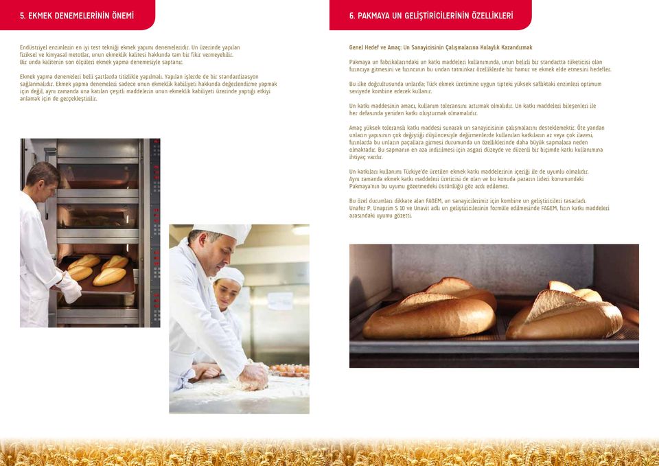 Ekmek yapma denemeleri belli şartlarda titizlikle yapılmalı. Yapılan işlerde de bir standardizasyon sağlanmalıdır.