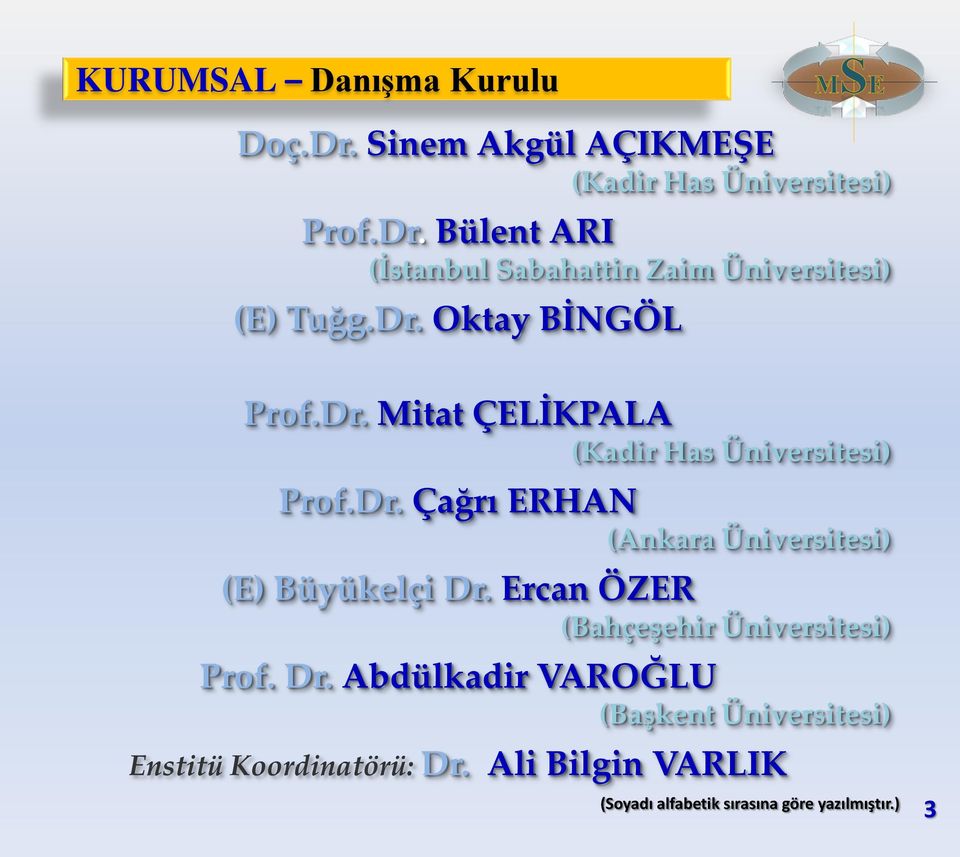 Ercan ÖZER (Bahçeşehir Üniversitesi) Prof. Dr. Abdülkadir VAROĞLU (Başkent Üniversitesi) Enstitü Koordinatörü: Dr.
