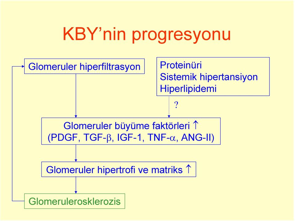 Glomeruler büyüme faktörleri (PDGF, TGF-β, IGF-1,
