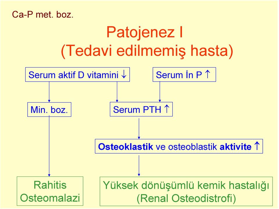 vitamini Serum İn P Min. boz.