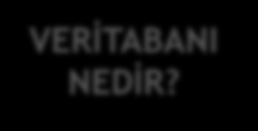 özet VERİTABANI NEDİR?