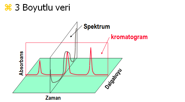 fotodiyot