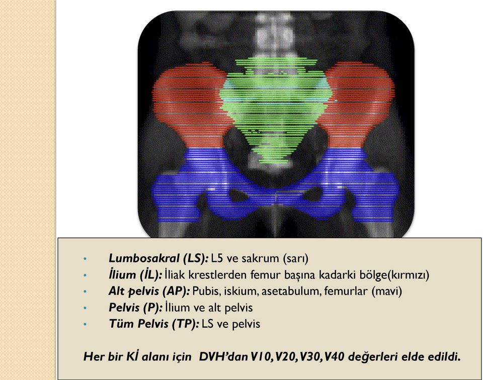 femurlar (mavi) Pelvis (P): İlium ve alt pelvis Tüm Pelvis (TP): LS ve