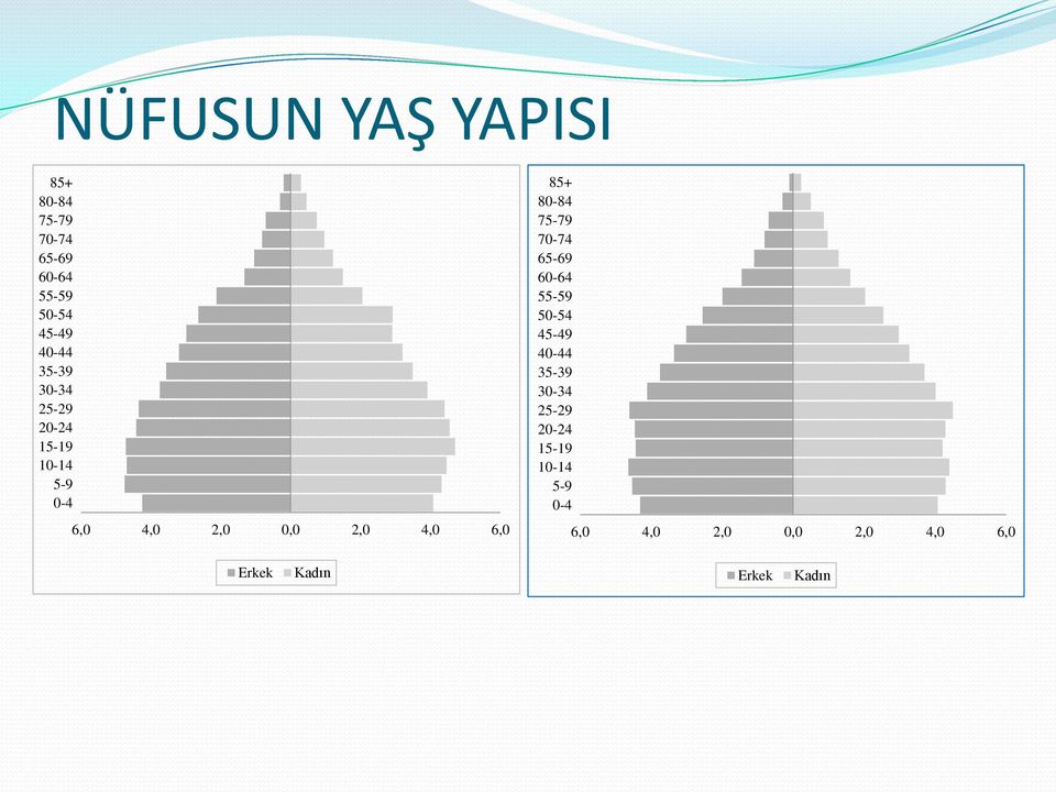 6,0 85+ 80-84 75-79 70-74 65-69 60-64 55-59 50-54 45-49  6,0 Erkek Kadın