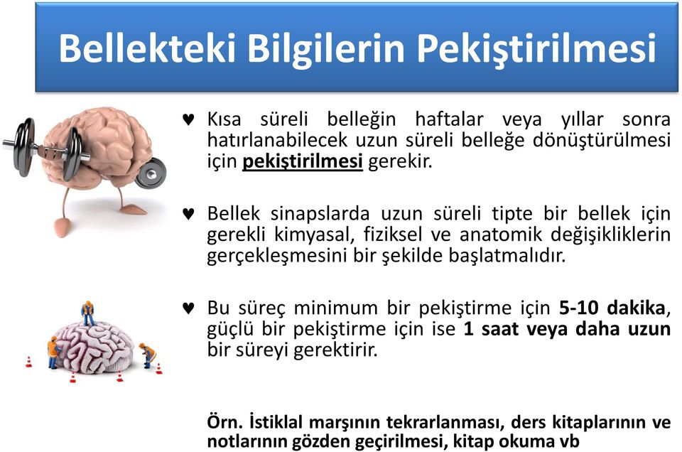 Bellek sinapslarda uzun süreli tipte bir bellek için gerekli kimyasal, fiziksel ve anatomik değişikliklerin gerçekleşmesini bir şekilde