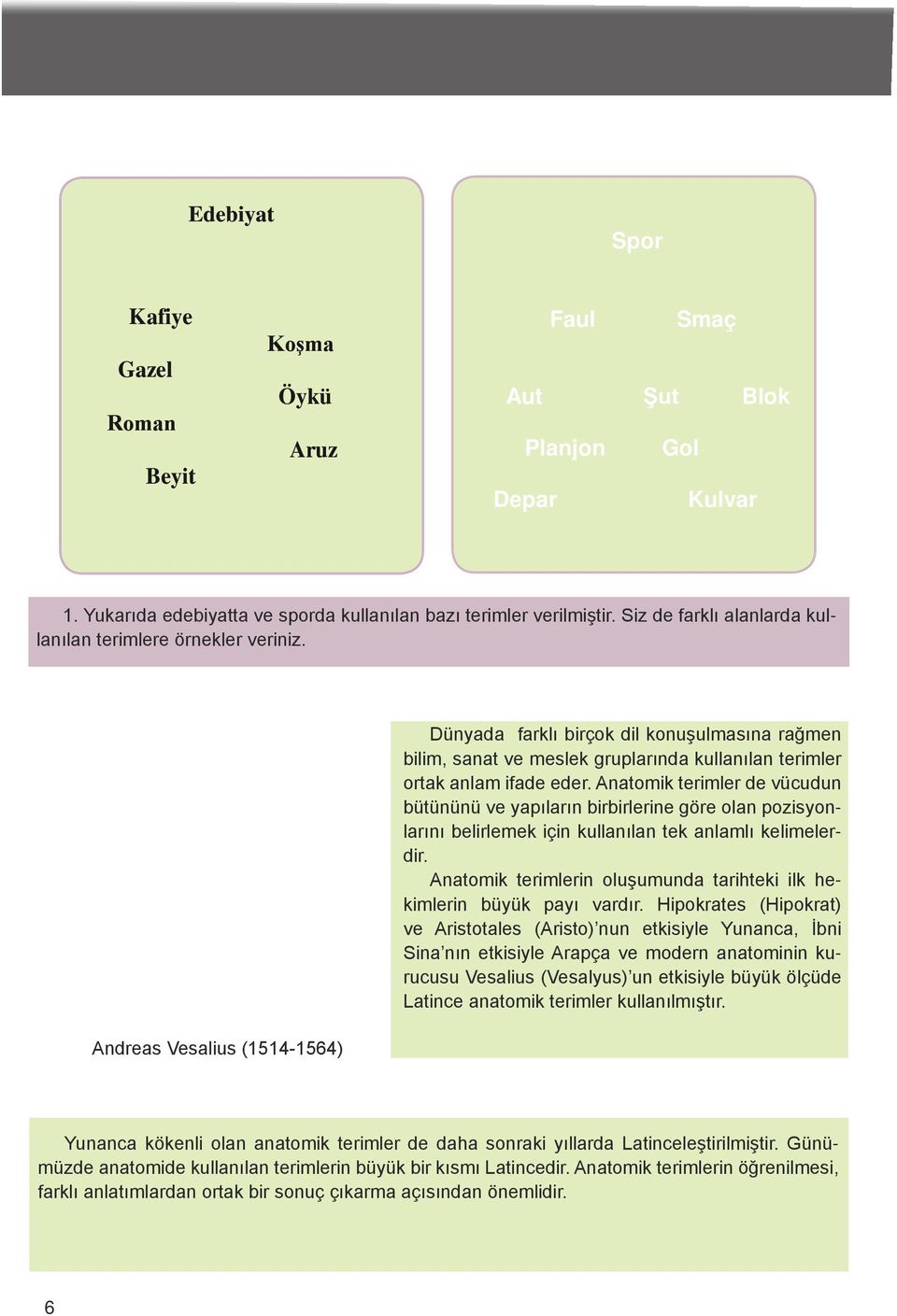 Andreas Vesalius (1514-1564) Dünyada farklı birçok dil konuşulmasına rağmen bilim, sanat ve meslek gruplarında kullanılan terimler ortak anlam ifade eder.