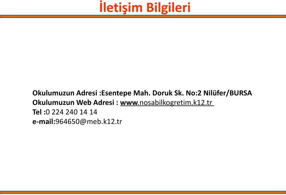 No:2 Nilüfer/BURSA Okulumuzun Web Adresi :