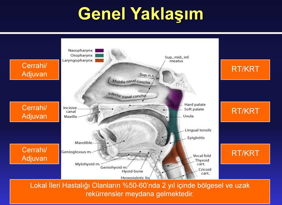 İleri Hastalığı Olanların %50-60 nda 2 yıl