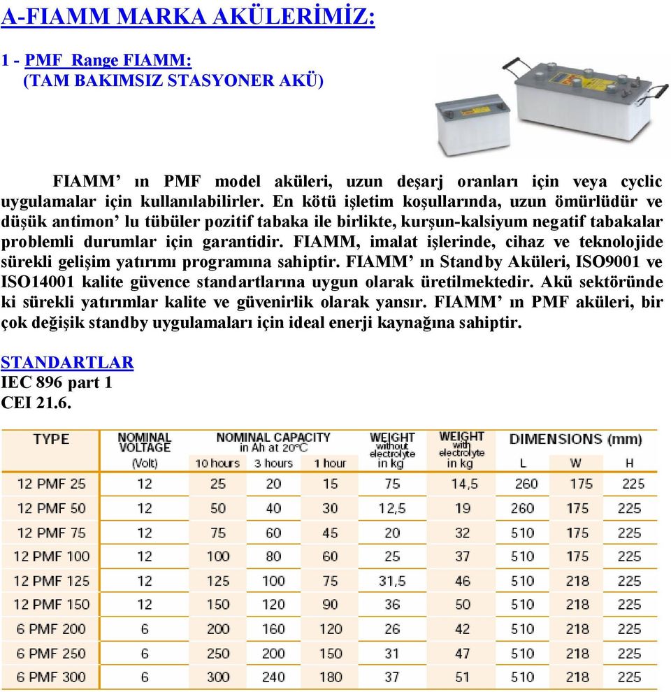 FIAMM, imalat işlerinde, cihaz ve teknolojide sürekli gelişim yatırımı programına sahiptir.