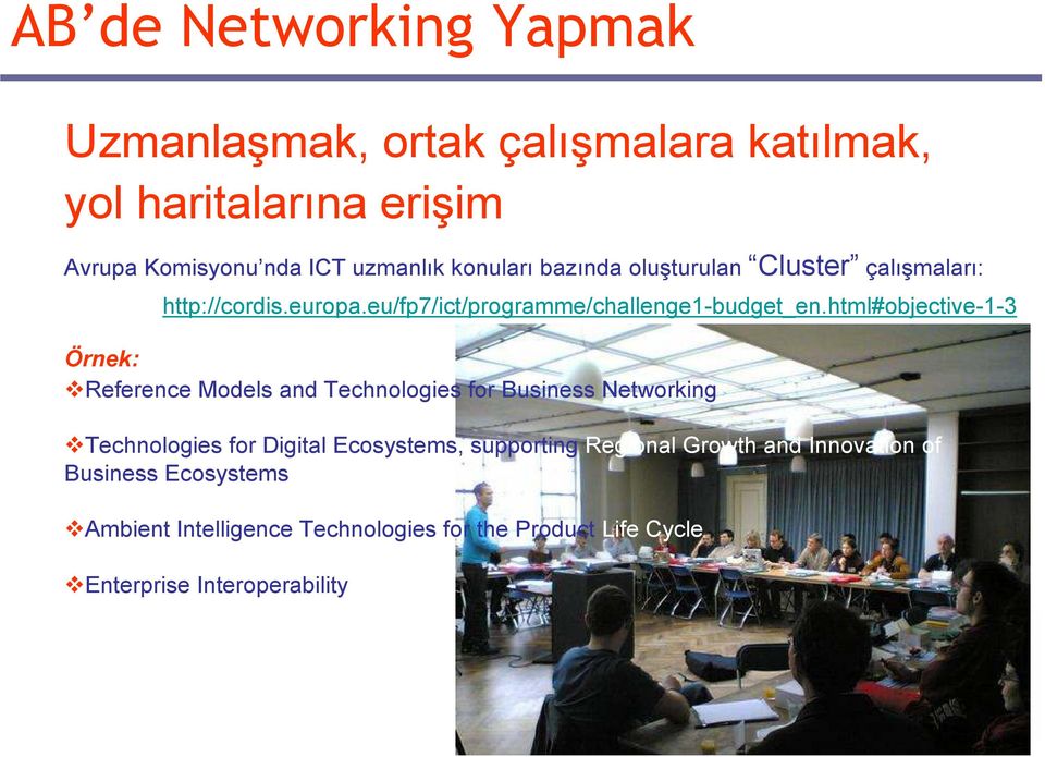 html#objective-1-3 Örnek: Reference Models and Technologies for Business Networking Technologies for Digital Ecosystems,