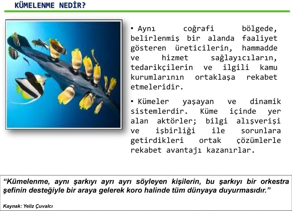 kamu kurumlarının ortaklaşa rekabet etmeleridir. Kümeler yaşayan ve dinamik sistemlerdir.