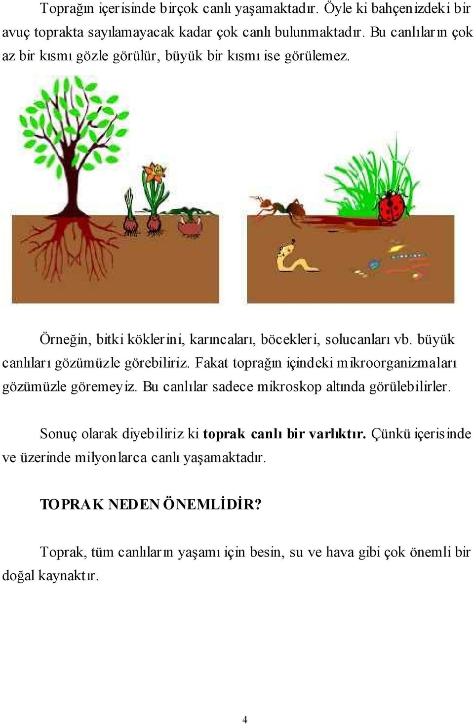 büyük canlıları gözümüzle görebiliriz. Fakat toprağın içindeki mikroorganizmaları gözümüzle göremeyiz. Bu canlılar sadece mikroskop altında görülebilirler.