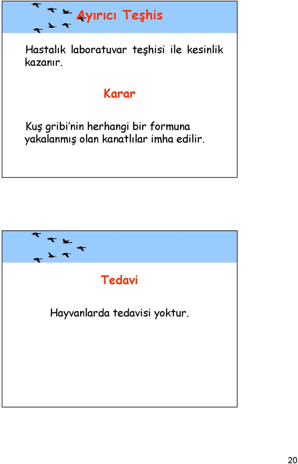 Karar Kuş gribi nin herhangi bir formuna