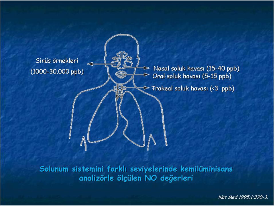 (5-15 ppb) Trakeal soluk havası (<3 ppb) Solunum sistemini
