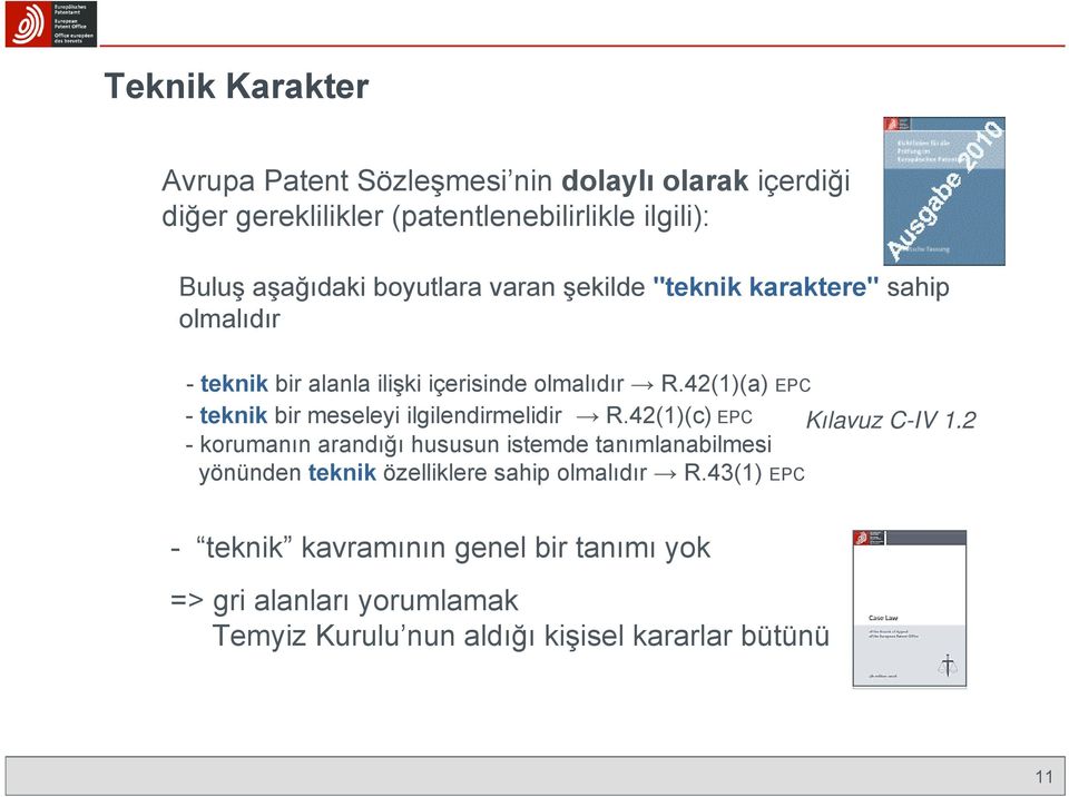 42(1)(a) EPC - teknik bir meseleyi ilgilendirmelidir R.42(1)(c) EPC Kılavuz C-IV 1.