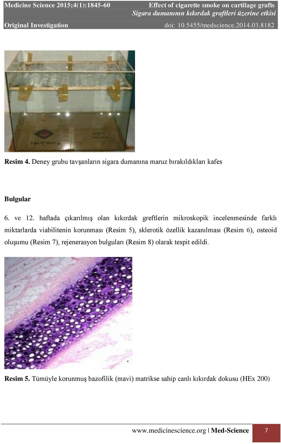 (Resim 5), sklerotik özellik kazanılması (Resim 6), osteoid oluşumu (Resim 7), rejenerasyon bulguları (Resim 8)