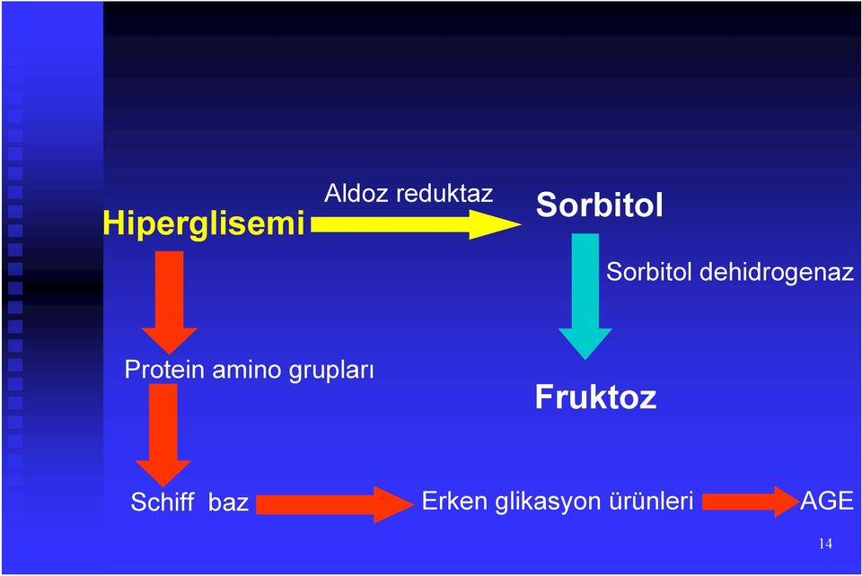 Protein amino grupları Fruktoz
