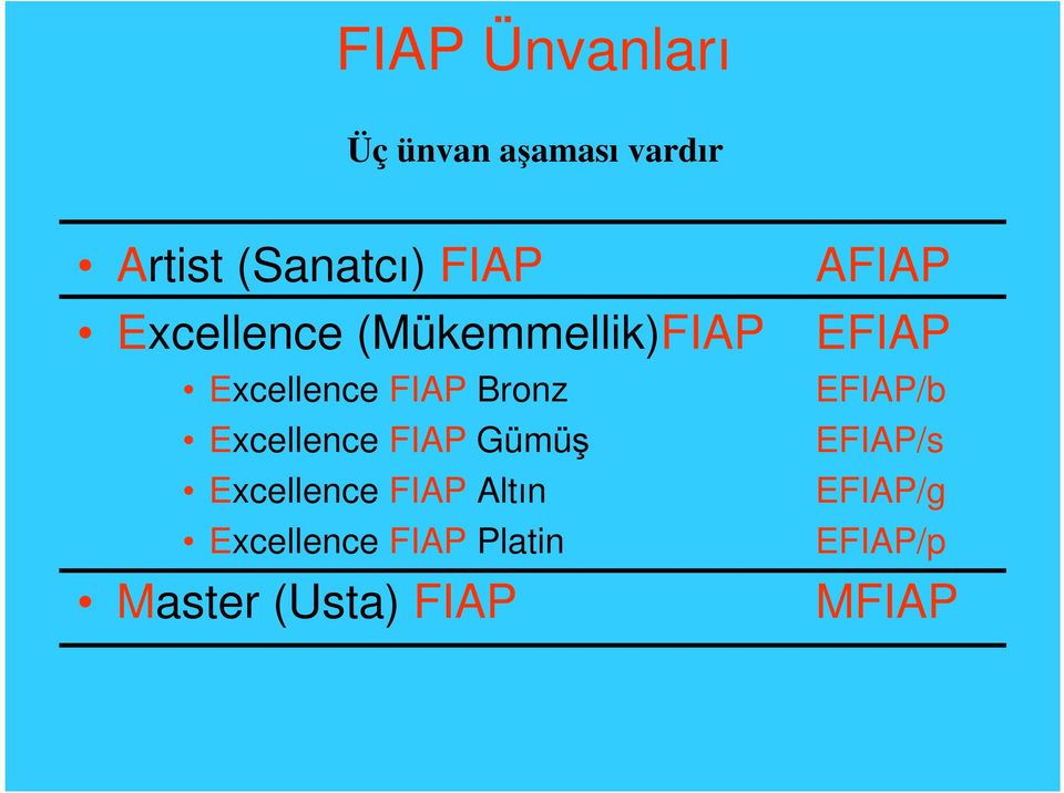 FIAP Gümüş Excellence FIAP Altın Excellence FIAP Platin