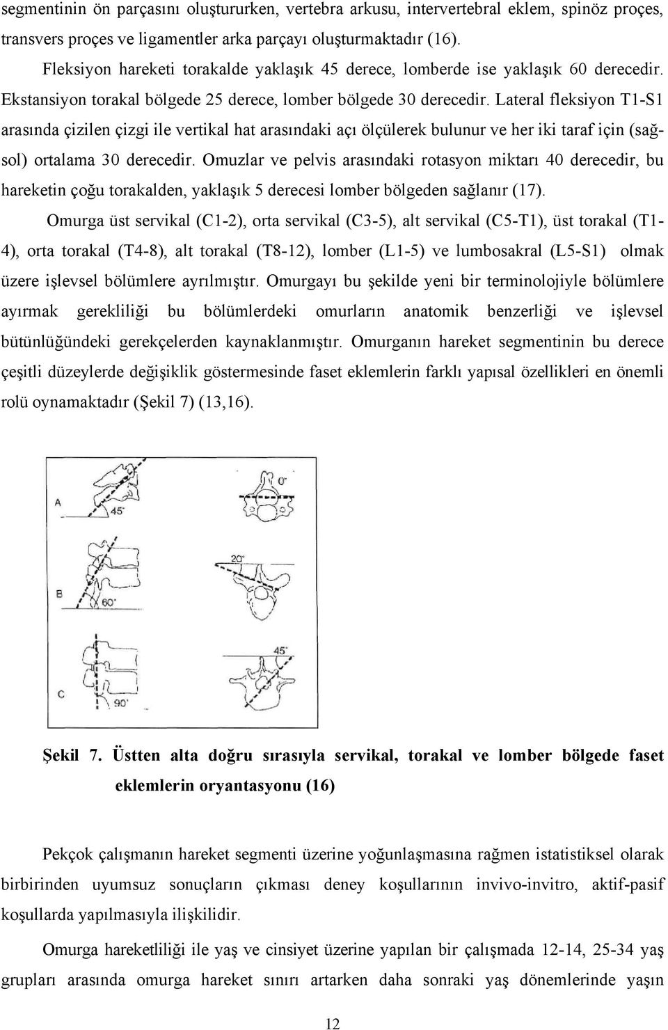 Lateral fleksiyon T1-S1 arasında çizilen çizgi ile vertikal hat arasındaki açı ölçülerek bulunur ve her iki taraf için (sağsol) ortalama 30 derecedir.