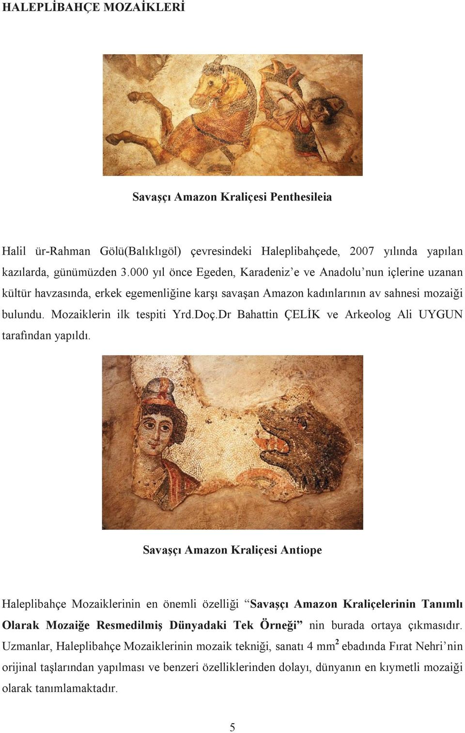 Dr Bahattin ÇELİK ve Arkeolog Ali UYGUN tarafından yapıldı.