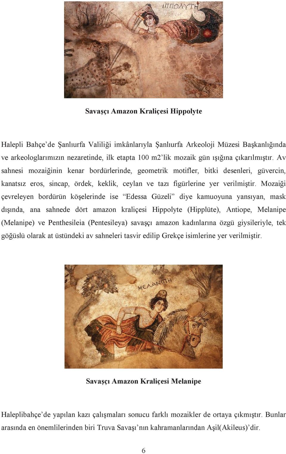 Mozaiği çevreleyen bordürün köşelerinde ise Edessa Güzeli diye kamuoyuna yansıyan, mask dışında, ana sahnede dört amazon kraliçesi Hippolyte (Hipplüte), Antiope, Melanipe (Melanipe) ve Penthesileia