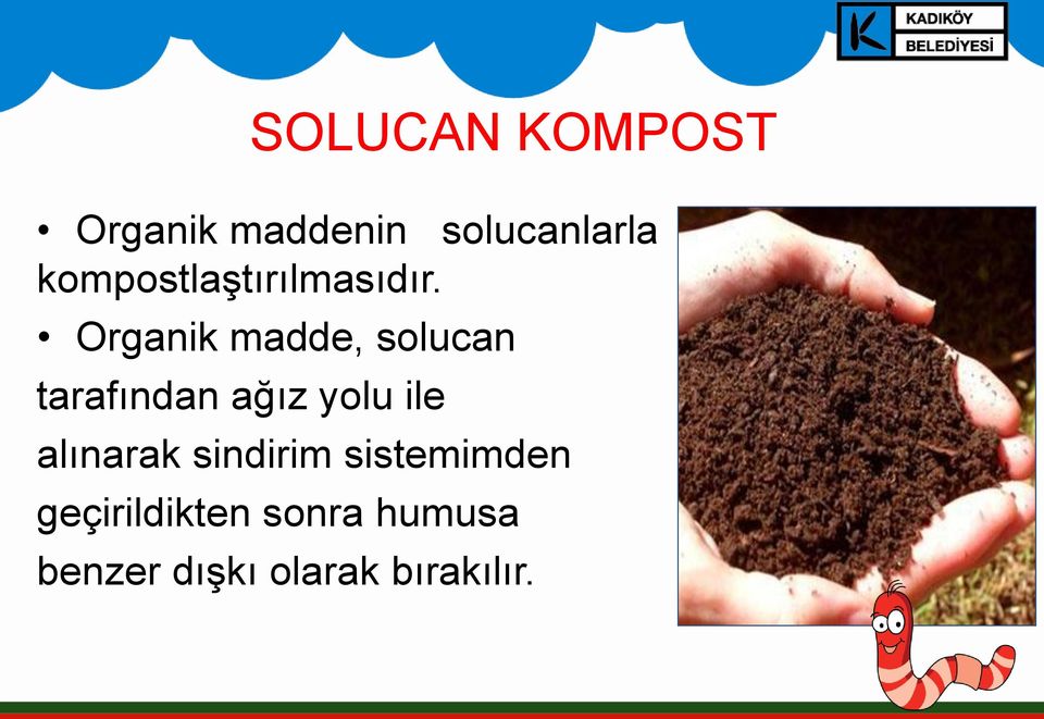 Organik madde, solucan tarafından ağız yolu ile