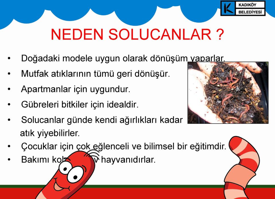 Gübreleri bitkiler için idealdir.