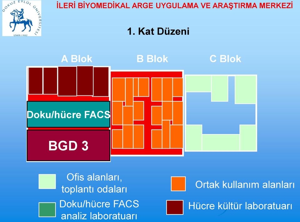 toplantı odaları Doku/hücre FACS analiz