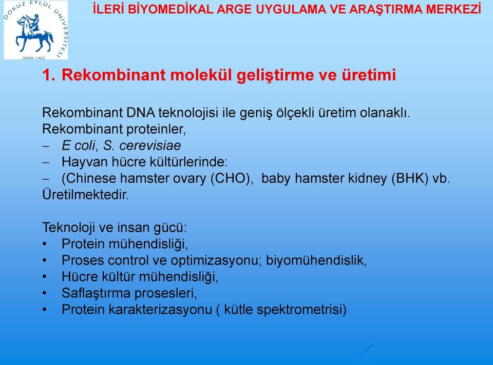 cerevisiae Hayvan hücre kültürlerinde: (Chinese hamster ovary (CHO), baby hamster kidney (BHK) vb. Üretilmektedir.