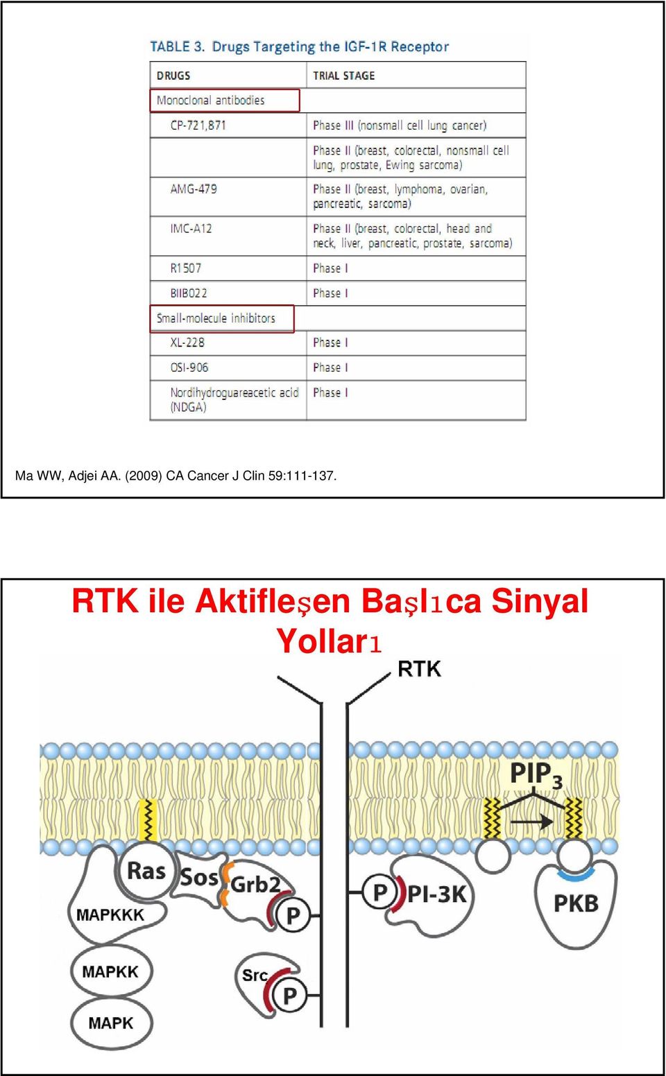 59:111-137.