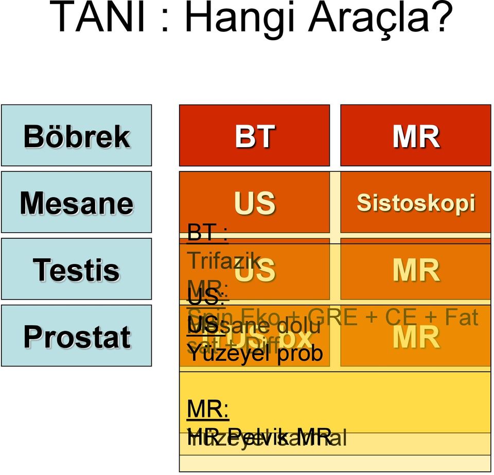 : Trifazik US MR MR: US: Spin Mesane US: Eko dolu +