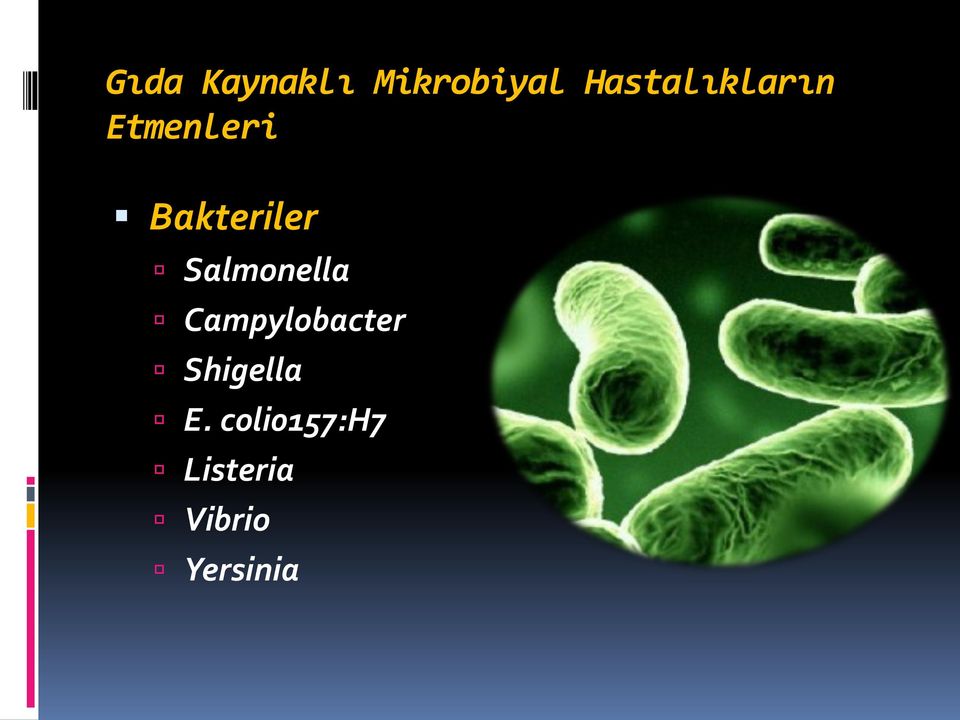 Bakteriler Salmonella