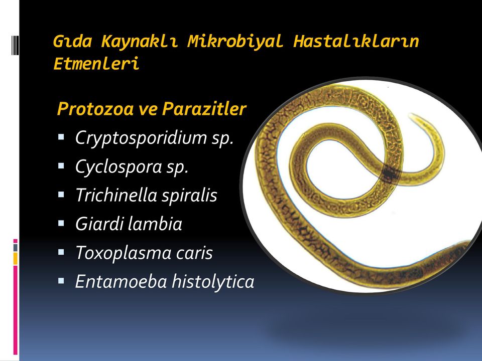 Cryptosporidium sp. Cyclospora sp.