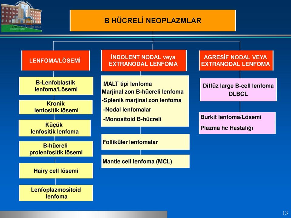 lenfoma Marjinal zon B-hücreli lenfoma -Splenik marjinal zon lenfoma -Nodal lenfomalar -Monositoid B-hücreli Folliküler