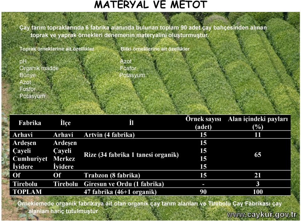 Tirebolu TOPLAM İlçe Arhavi Ardeşen Çayeli Merkez İyidere Of Tirebolu İl Artvin ( fabrika) Rize ( fabrika tanesi organik) Trabzon (8 fabrika) Giresun ve Ordu ( fabrika) 7 fabrika (6+