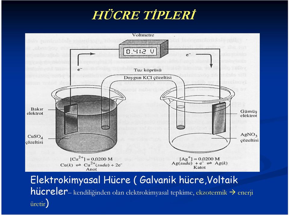 hücreler kendiliğinden olan