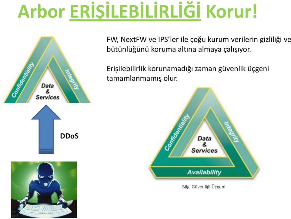 ve bütünlüğünü koruma altına almaya çalışıyor.