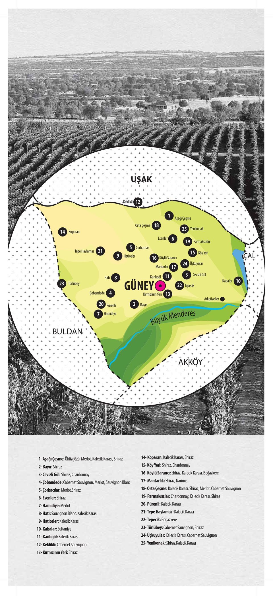 Merlot, Kalecik Karası, Shiraz 2- Bayır: Shiraz 3- Cevizli Göl: Shiraz, Chardonnay 4- Çobandede: Cabernet Sauvignon, Merlot, Sauvignon Blanc 5- Çorbacılar: Merlot,Shiraz 6- Esenler: Shiraz 7-