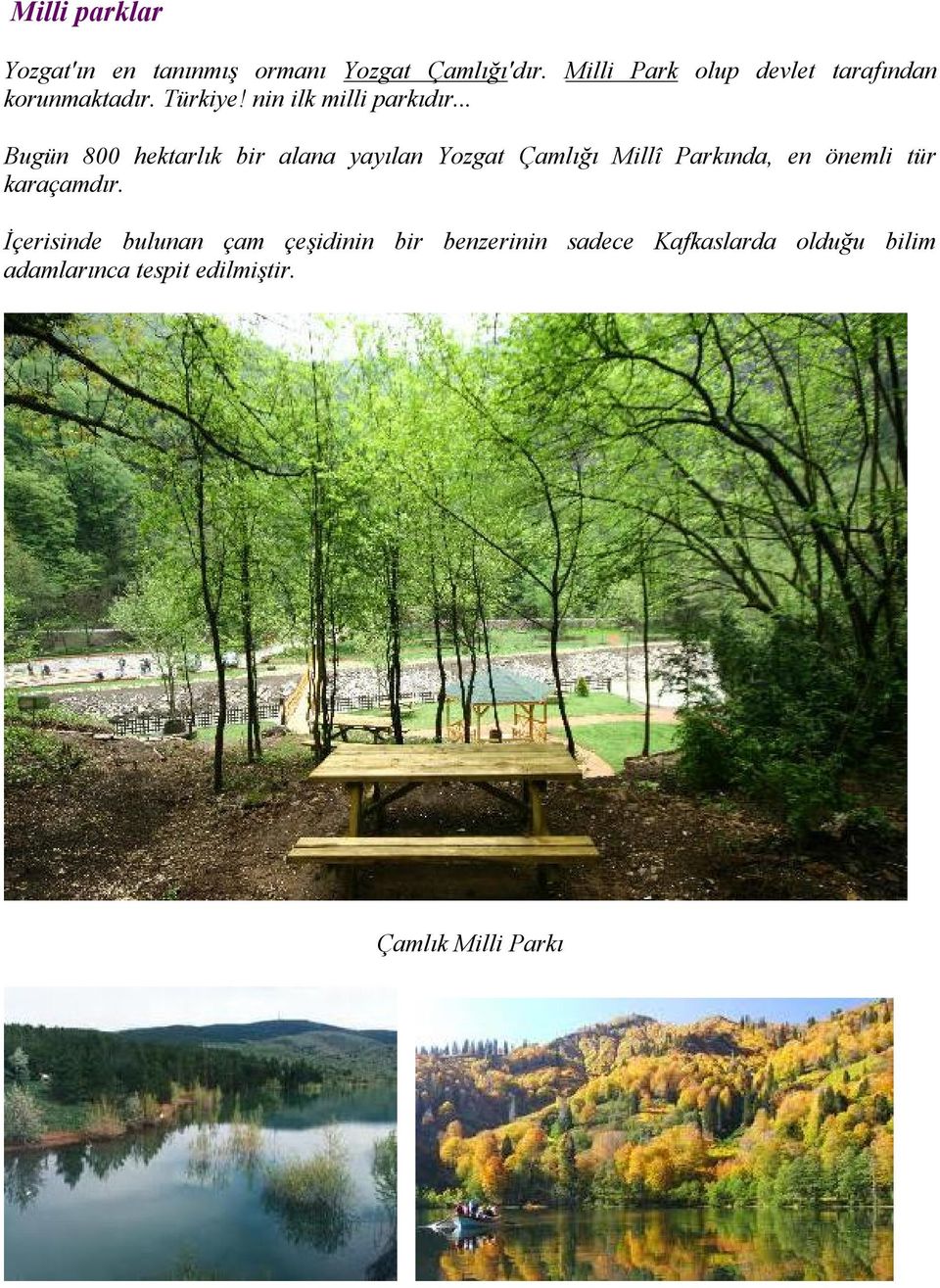 .. Bugün 800 hektarlık bir alana yayılan Yozgat Çamlığı Millî Parkında, en önemli tür