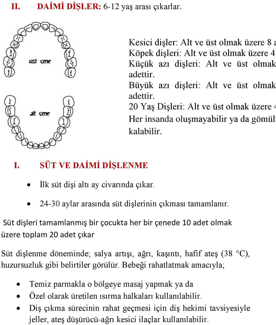 24-30 aylar arasında süt dişlerinin çıkması tamamlanır.