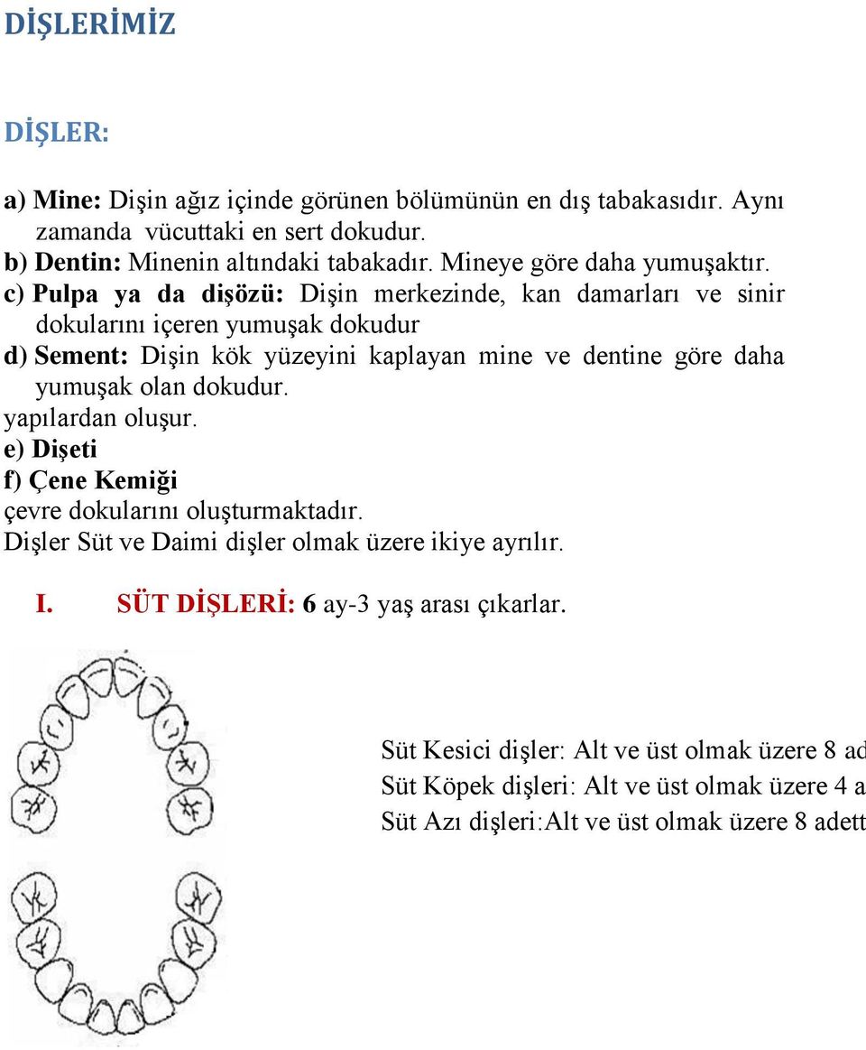 c) Pulpa ya da diģözü: Dişin merkezinde, kan damarları ve sinir dokularını içeren yumuşak dokudur d) Sement: Dişin kök yüzeyini kaplayan mine ve dentine göre daha yumuşak