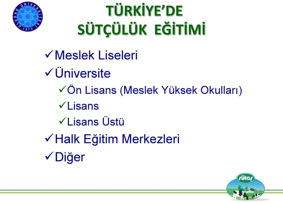 (Meslek Yüksek Okulları) Lisans