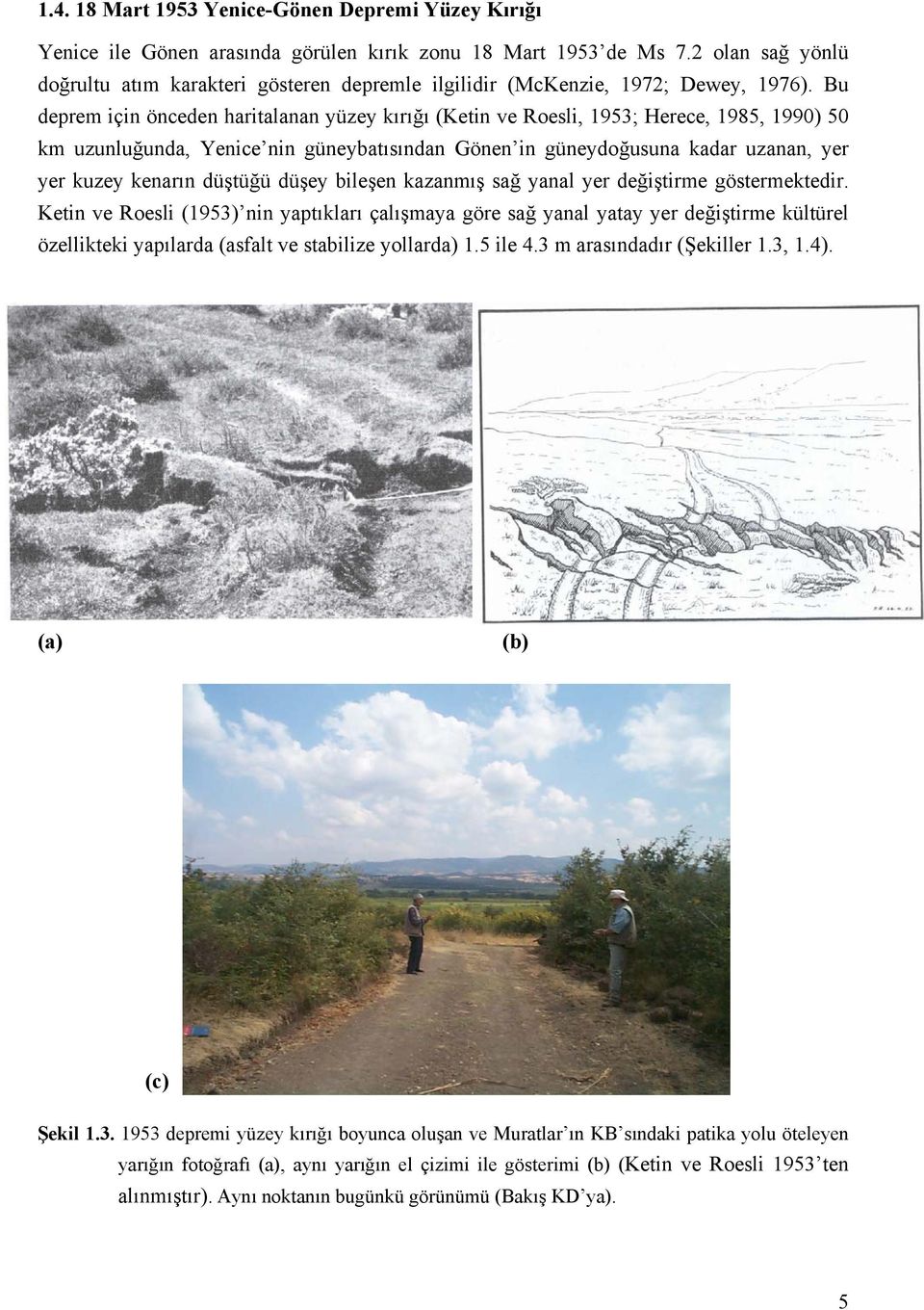 Bu deprem için önceden haritalanan yüzey kırığı (Ketin ve Roesli, 1953; Herece, 1985, 1990) 50 km uzunluğunda, Yenice nin güneybatısından Gönen in güneydoğusuna kadar uzanan, yer yer kuzey kenarın