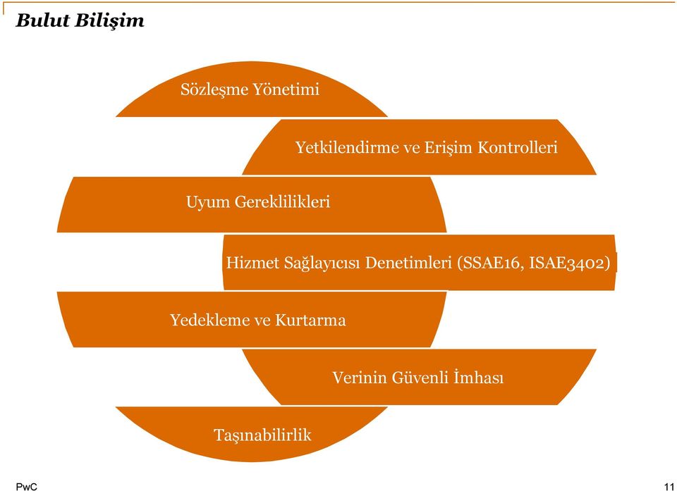 Sağlayıcısı Denetimleri (SSAE16, ISAE3402)